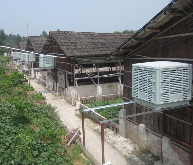 火腿腸的生產(chǎn)工藝車間怎么排風(fēng)降溫？火腿腸廠廠房降溫排風(fēng)系統(tǒng)安裝火腿腸廠車間降溫排熱換氣裝置